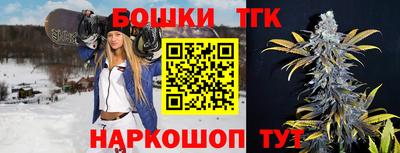 spice Камышлов