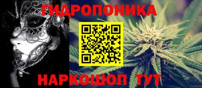 СК Канаш