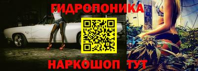 spice Камышлов