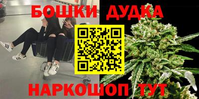 спайс Кандалакша