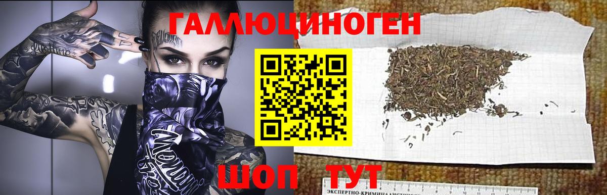 Коммунар  Галлюциногенные грибы мухоморы  Вход с VPN 
