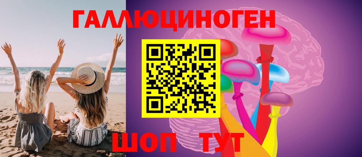 Галлюциногенные грибы Psilocybe Коммунар